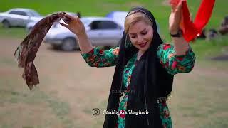 Best Kurdish Dance | Halparke Kurdi