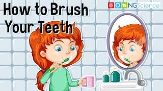 How to Brush Your Teeth