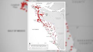 Dolphin Ranging Patterns: Fun with Maps