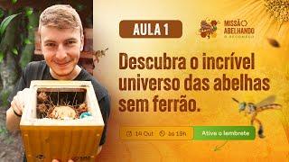 AULA 1 - Descubra o incrível universo das abelhas sem ferrão (Missão Abelhando - O RECOMEÇO)