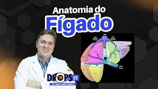 ANATOMIA DO FÍGADO - COMO RECONHECER NO USG? I VOCÊ RADIOLOGISTA