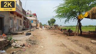 Village life in Pakistan -- Walking tour of Chak 53 GB Mansoorpur Dhasian