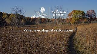 What is ecological restoration?