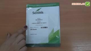 СВ3506 F1 огурец (Seminis) Антифейк