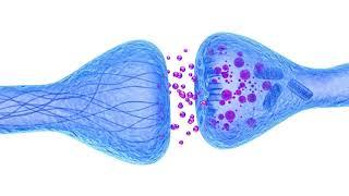 CDNF for Parkinson's disease