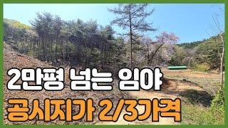 매물번호 726 【임야 매매】 농림.보전관리(일부) 면적 71.643㎡(약 21.672py)  서산시 지곡면 연화리 면적 넓은 임야 매매가 2억2천만원