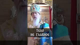 Тело не главное | еп. Августин (Анисимов)