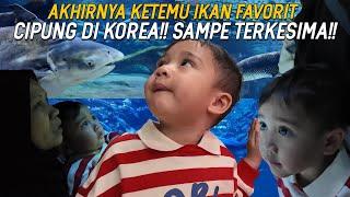 HARI TERAKHIR DI KOREA CIPUNG BLUSUKAN DUNIA LAUT DEMI KETEMU IKAN PAUS!! NCUS RINI SAMPE NGAKAK!!