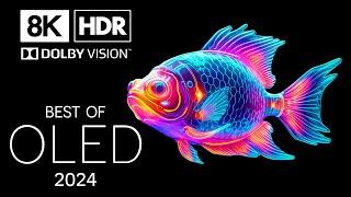 Unbelievable Views in 8K HDR | Dolby Vision™