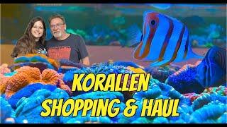 Neue Korallen kaufen ️ für meinen 1000 Liter Reeftank - mit Beratung von Jonny & Unboxing zu Hause