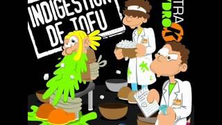 Ska Dub - Tetra Hydro K - Indigestion de Tofu - 7lakes