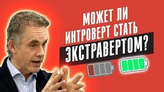 Джордан Питерсон | Может ли интроверт стать экстравертом?