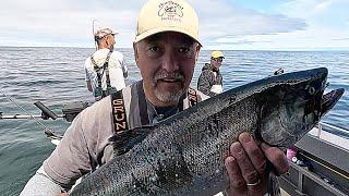 Copper River Got NOTHING on These Chinook