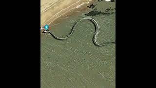 Titanoboa/The world biggest Snake skeleton/