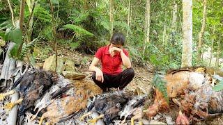 Coming home from the market - found the chickens refused to eat and died.Sương thảo nguyên