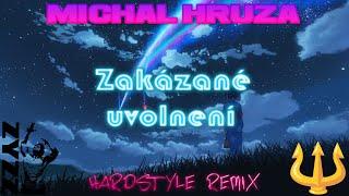 Michal Hrůza - Zakázané uvolnění | DnsT3r_7 Hardstyle Remix | 