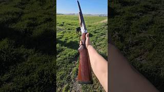 Stoeger Coachman 12G double barrel shotgun