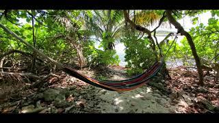 Glover's Reef, Belize (remote island in Belize) exploring jungle trails and their shore waters