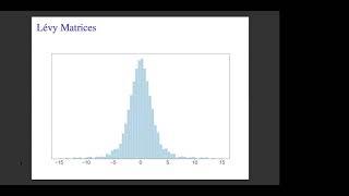Lévy Matrices - Patrick Lopatto