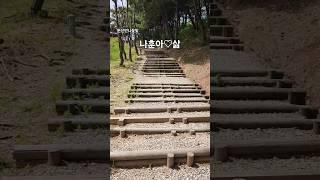 #삶#부여#백제문화단지#여행#나훈아