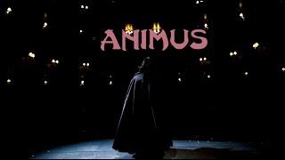 Koizumi - Animus (Official Music Video)