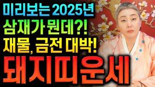 미리보는 2025년 을사년 신년운세 돼지띠운세2025년 들삼재에 금전운 대박나는 돼지띠 59년생 71년생 83년생 95년생 돼지띠운세 복삼재로 재물운 금전운 대박난다 돼지띠