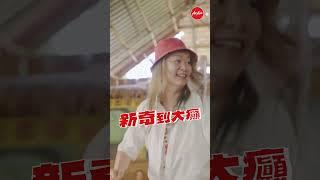 AirAsia 《老Best大癲遊》馬來西亞 - 亞庇 (沙巴)
