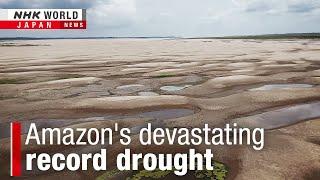 Climate change drives Amazon droughtーNHK WORLD-JAPAN NEWS