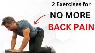 The Best 2 Back Exercises (NO MORE BACK PAIN!)