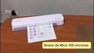 MICA TPPS con adhesivo