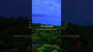 Best Tilawat ️ || Dua from Quran #quran #dua