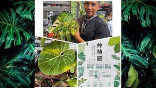 2021 艸植感 觀葉植物展  一盆植物可買一台國產車/ 觀葉植物的魔力 線上帶你/妳 逛一遍 ^