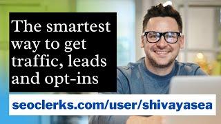 Smartest way to increase website traffic |  niche targeted traffic | organic traffic | usa