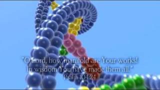DNA - God's amazing programming; evidence for his existence