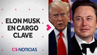 Donald Trump nombró a Elon Musk en cargo clave del gobierno de Estados Unidos