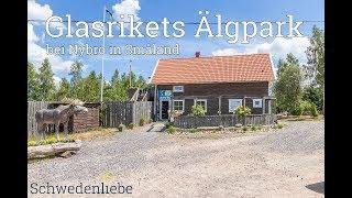 Glasrikets Älgpark | Elchparks in Schweden