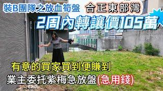 合正東部灣筍盤系列灣區稀缺即看海又帶花園小戶型產品｜業主又降25萬｜