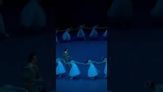Денис Савин, #bolshoitheatre #ballet #большойтеатр