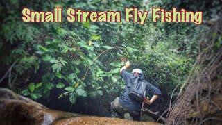 Small Stream Fly Fishing Malaysia..Bamboo Fly Rod Wt1