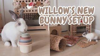 WILLOW'S NEW SET UP | INDOOR BUNNY | FREE ROAM RABBIT