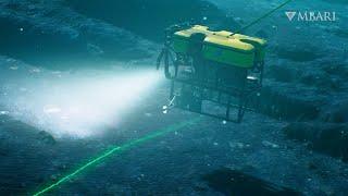 Seeing Sur Ridge: Transforming deep-sea mapping data to reveal the majesty of an underwater oasis