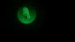 Night Vision Gen 1 Yukon NVMT 2x24mm pasture test