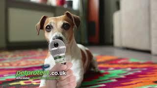 Pet Protect - Our New TV Advert - #WhatWouldYourPetsSay