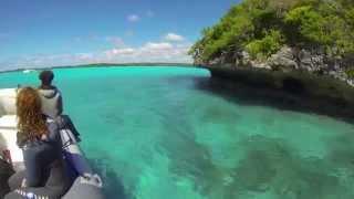 Into the Abyss - Diving New Caledonia