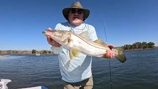 Crystal River Fishing Snook Epic DAYS#inshorefishing #fishing#snook#inshore