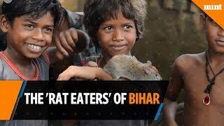 The 'Rat Eaters' of Bihar: India's poorest people?