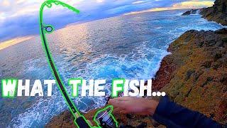 Fishing Forster / Tuncurry NSW (Family Trip)