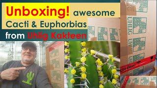 UNBOXING Awesome Cactus & Euphorbia Plants | Uhlig Kakteen | #cactuscollection #succulentcollection