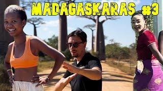 MADAGASKARAS #3: BAOBABAI IR VAIKAI KALBANTYS LIETUVIŠKAI