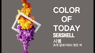 [롬군이의 힐링영상 : 오늘의색] Color of today :  SeaShell 시쉘 : '조개 껍데기에서 찾은 색', 하루에 한 컬러, 아름다운 색을 소개합니다. ; 힐링